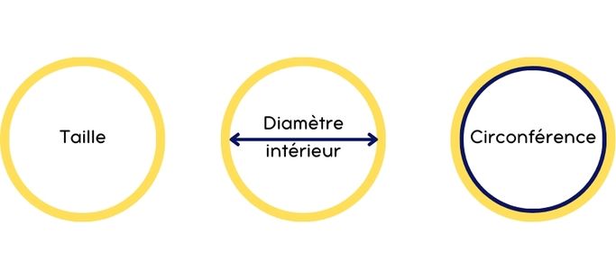 guide taille circonf  rence